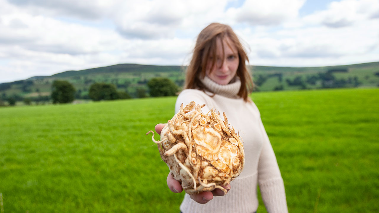 Free HTML5 Template by FreeHTML5.co